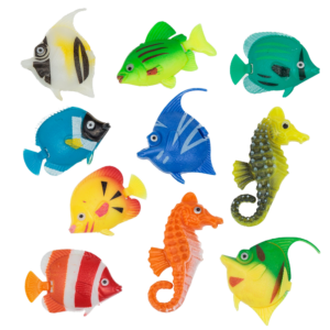 fish fish